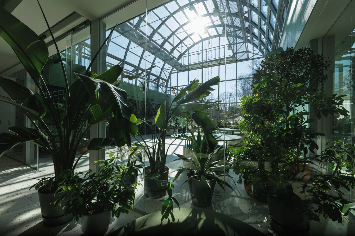 Kadrioru Oranžerii — klaasarhitektuur ja elav kooslus