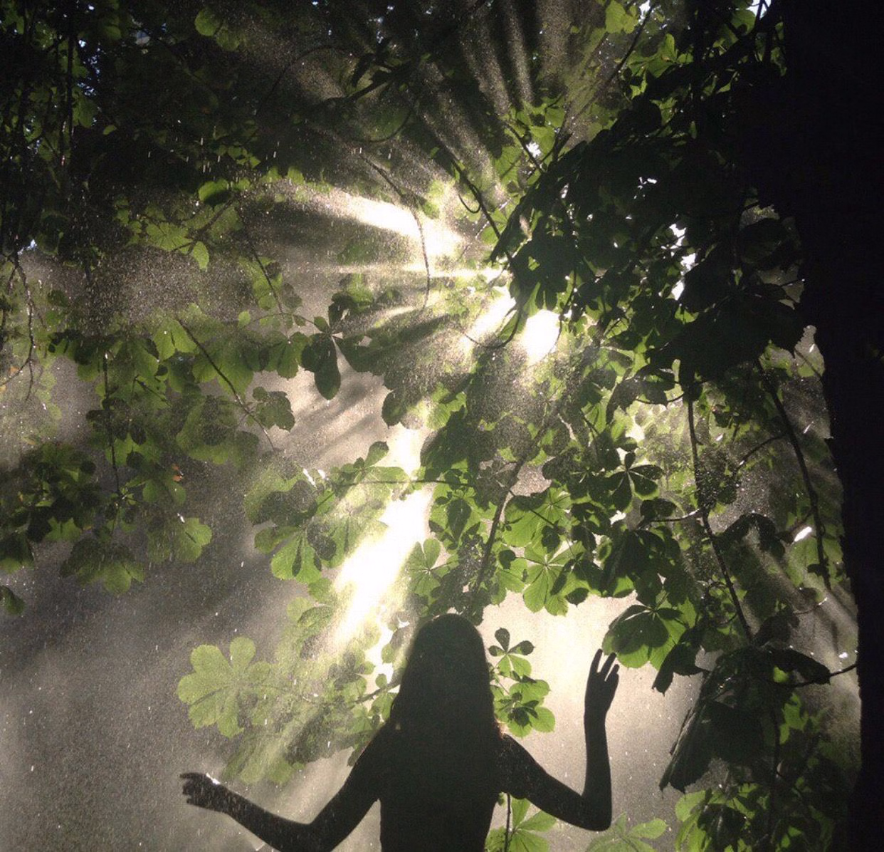 performer ja taimed — bioelektriline vahetus